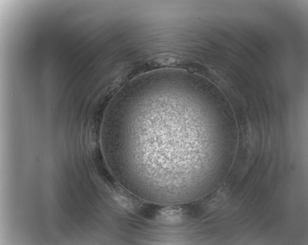 X0000062130606200512121217