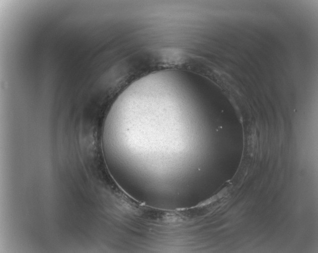 X0000062130608200512121217