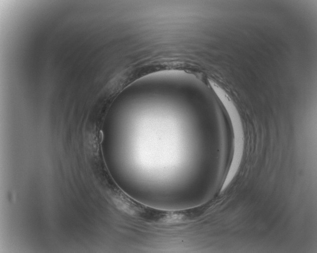 X0000062130609200512121217