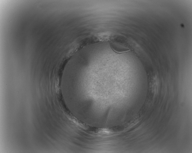 X0000062130610200512121217