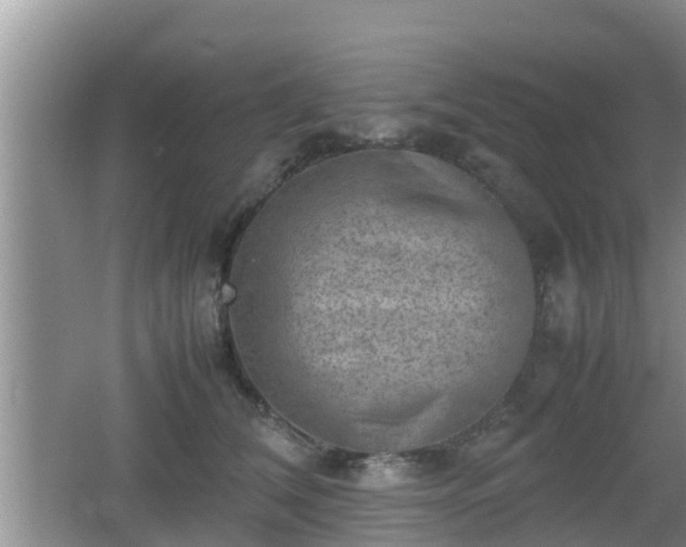 X0000062130612200512121217