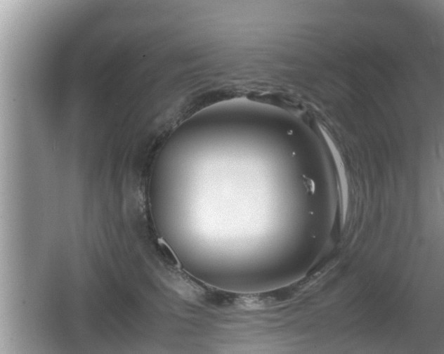 X0000062130613200512121217