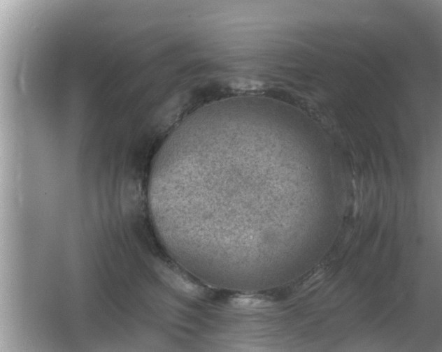 X0000062130614200512121217