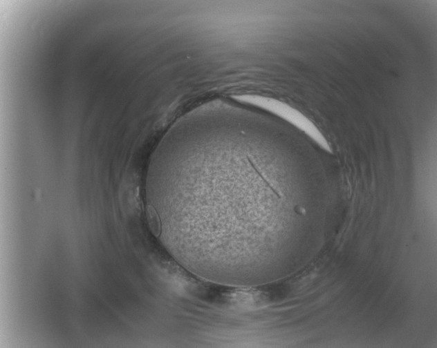 X0000062130615200512121217