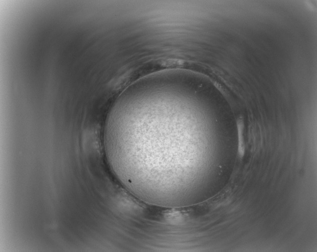 X0000062130616200512121217