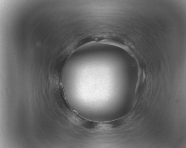 X0000062130617200512121217