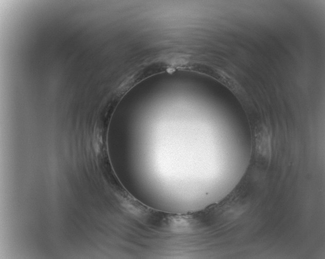 X0000062130618200512121217