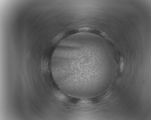 X0000062130619200512121217