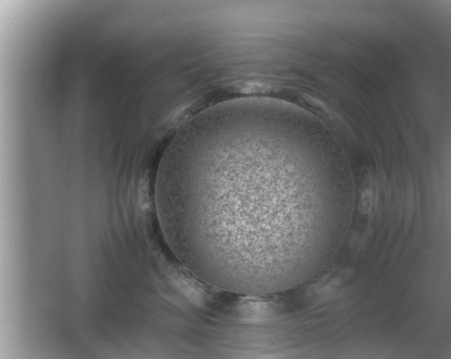 X0000062130620200512121217