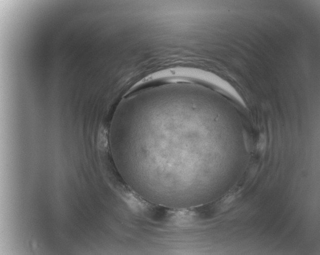 X0000062130621200512121217