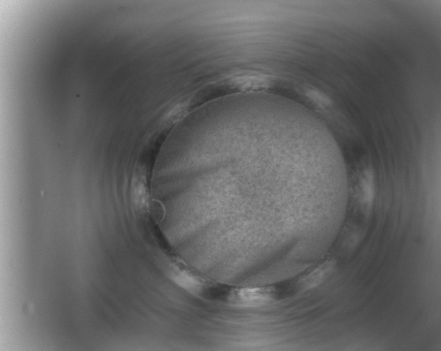 X0000062130622200512121217