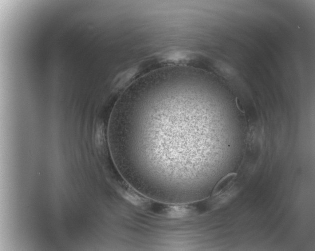 X0000062130623200512121217