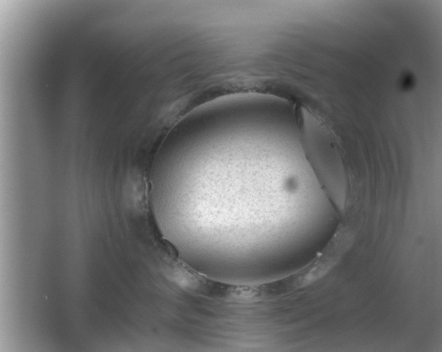 X0000062130624200512121217