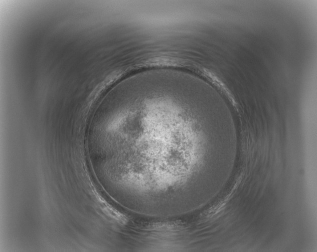 X0000062130625200512121216