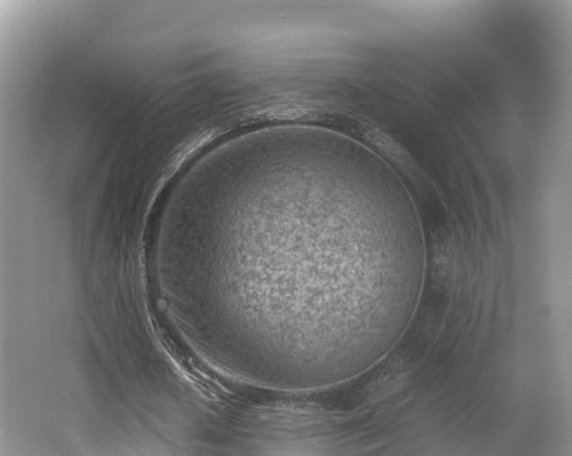 X0000062130626200512121216