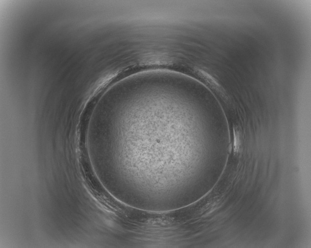 X0000062130627200512121216