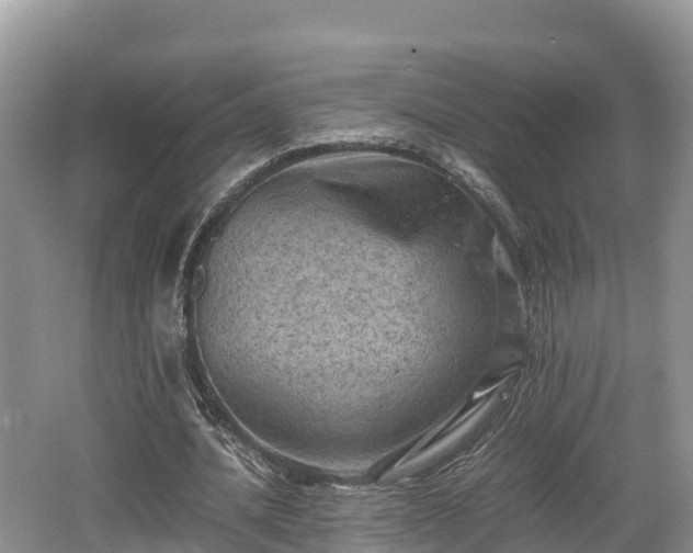 X0000062130628200512121216