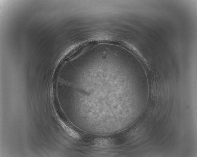 X0000062130629200512121216