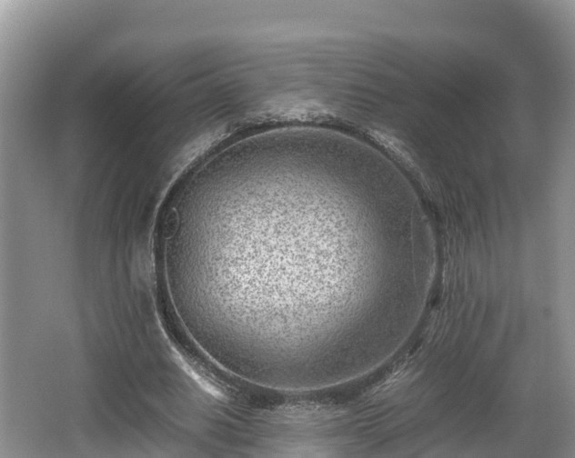 X0000062130630200512121216