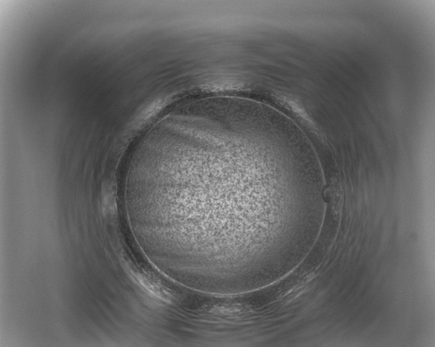 X0000062130631200512121216