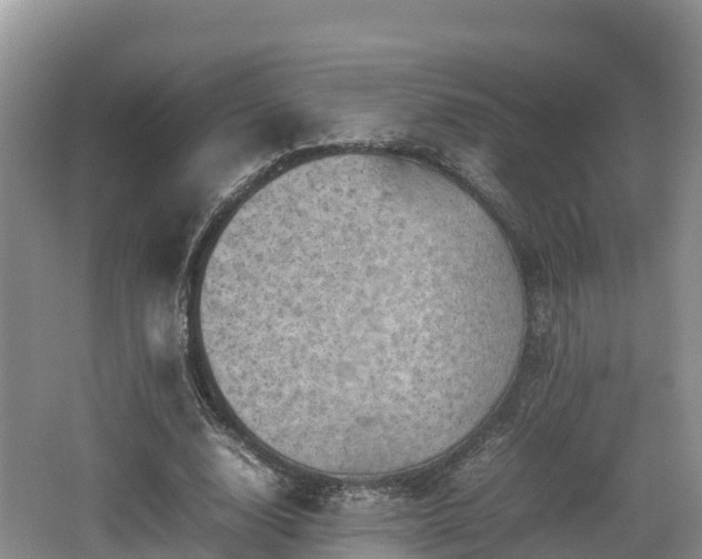 X0000062130632200512121216