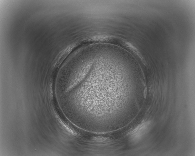 X0000062130633200512121216