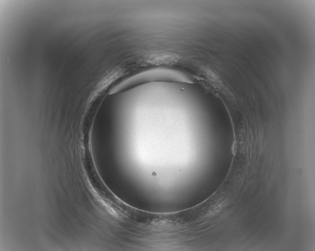 X0000062130634200512121216