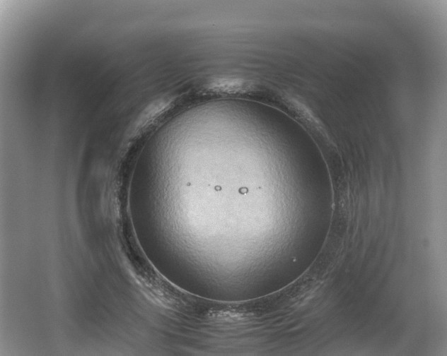 X0000062130635200512121216