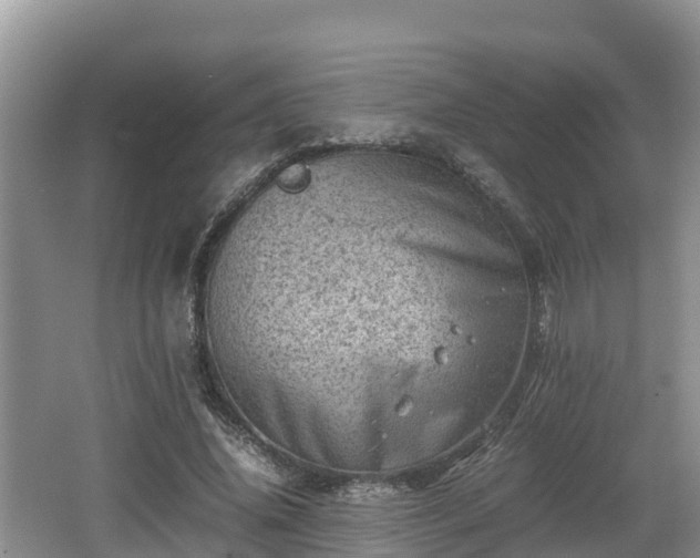 X0000062130636200512121216