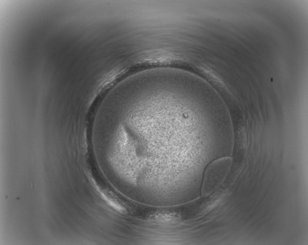 X0000062130638200512121216