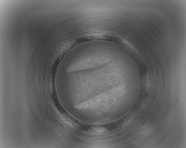 X0000062130642200512121216