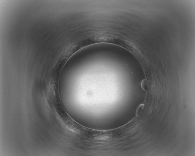 X0000062130643200512121216