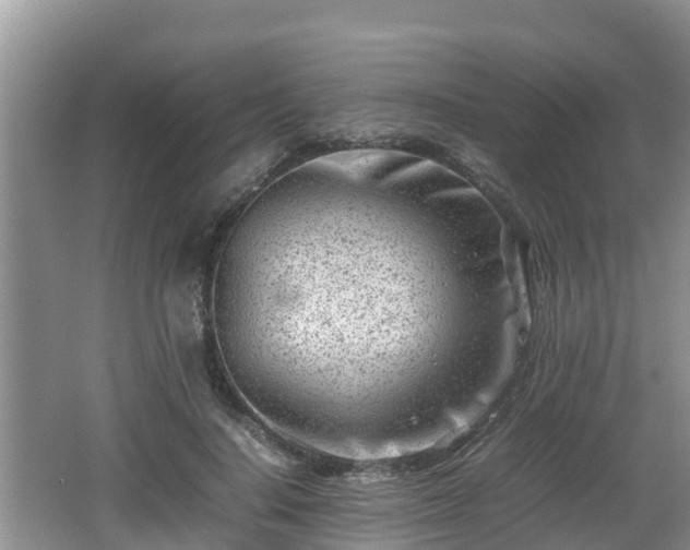 X0000062130644200512121216