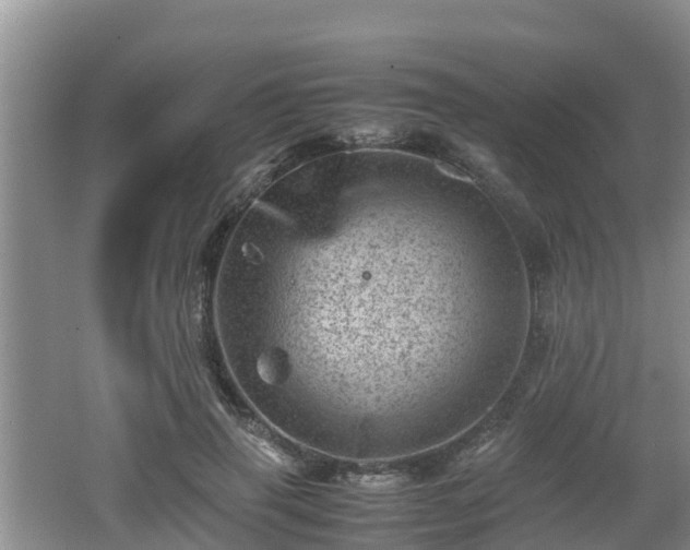 X0000062130645200512121216