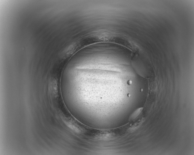 X0000062130646200512121216