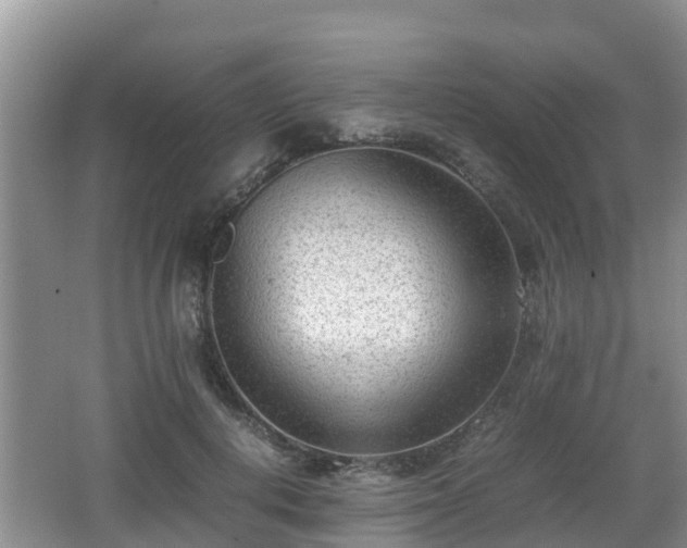 X0000062130648200512121216