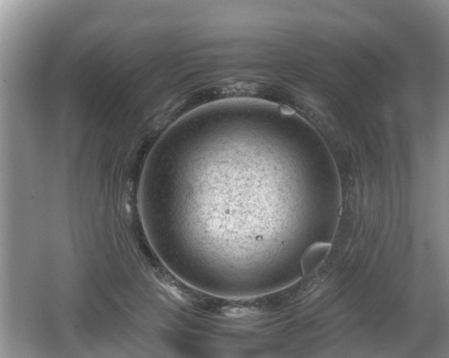 X0000062130649200512121216