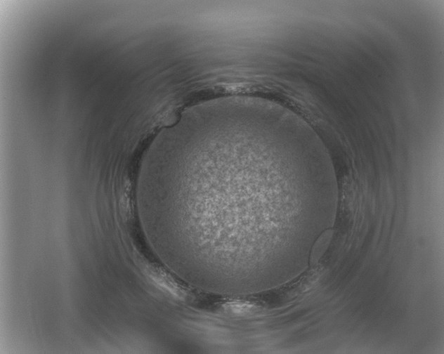 X0000062130650200512121216