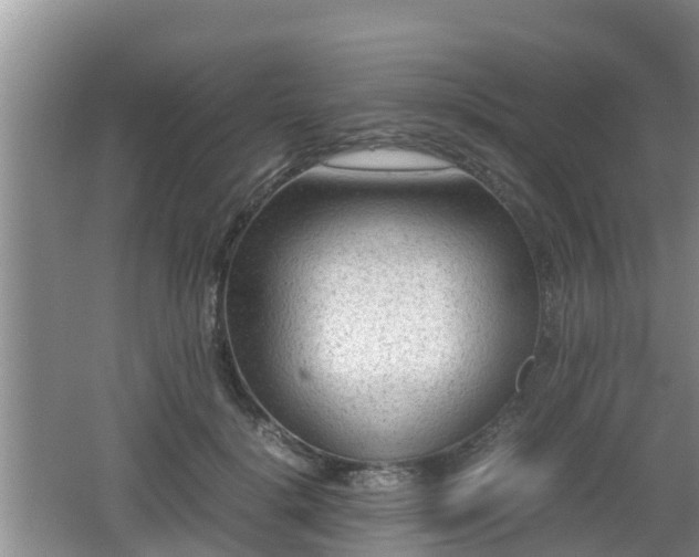 X0000062130652200512121216