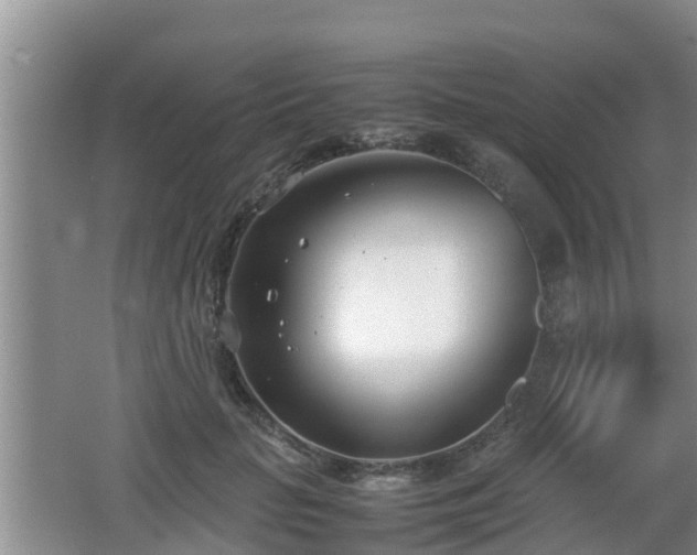 X0000062130653200512121216