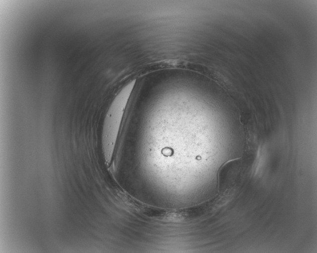 X0000062130656200512121217