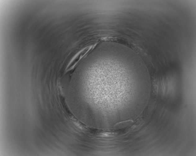 X0000062130657200512121217