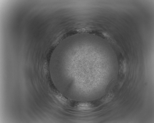 X0000062130659200512121217