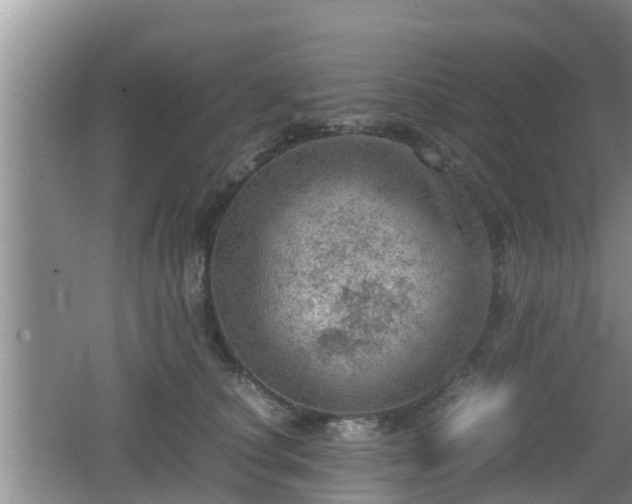 X0000062130660200512121217