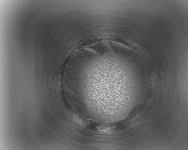 X0000062130661200512121217