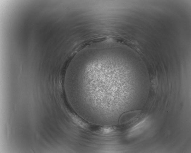 X0000062130662200512121217