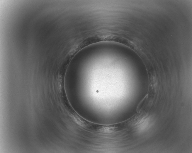 X0000062130664200512121217