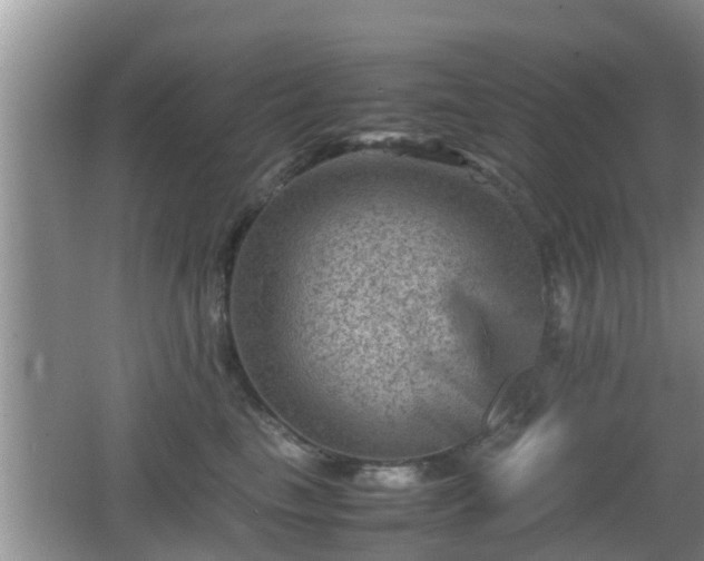 X0000062130665200512121217