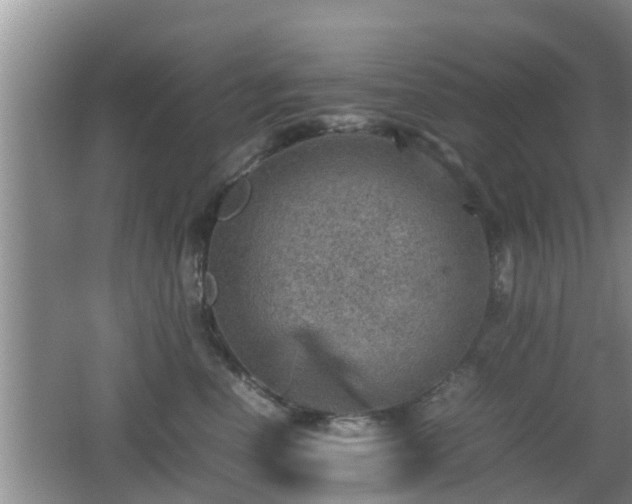 X0000062130666200512121217