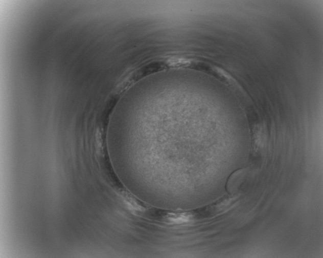 X0000062130667200512121217